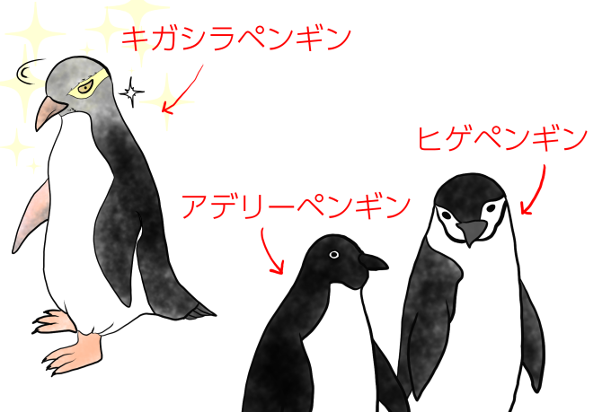 ペンギン三種
