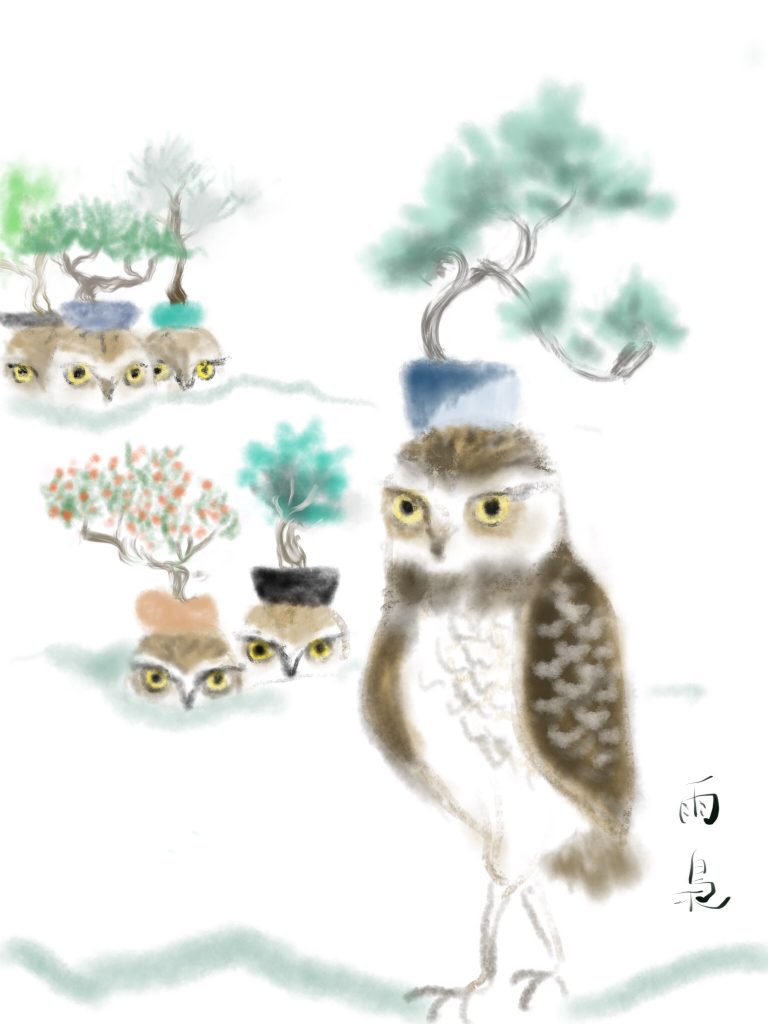 アナホリフクロウと盆栽３　illustration by Ukyo SAITO ©斎藤雨梟