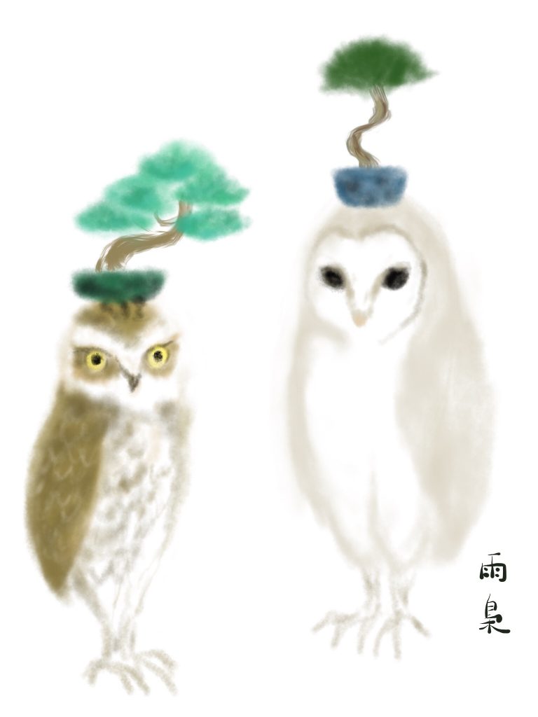 アナホリフクロウとメンフクロウ　illustration by Ukyo SAITO ©斎藤雨梟